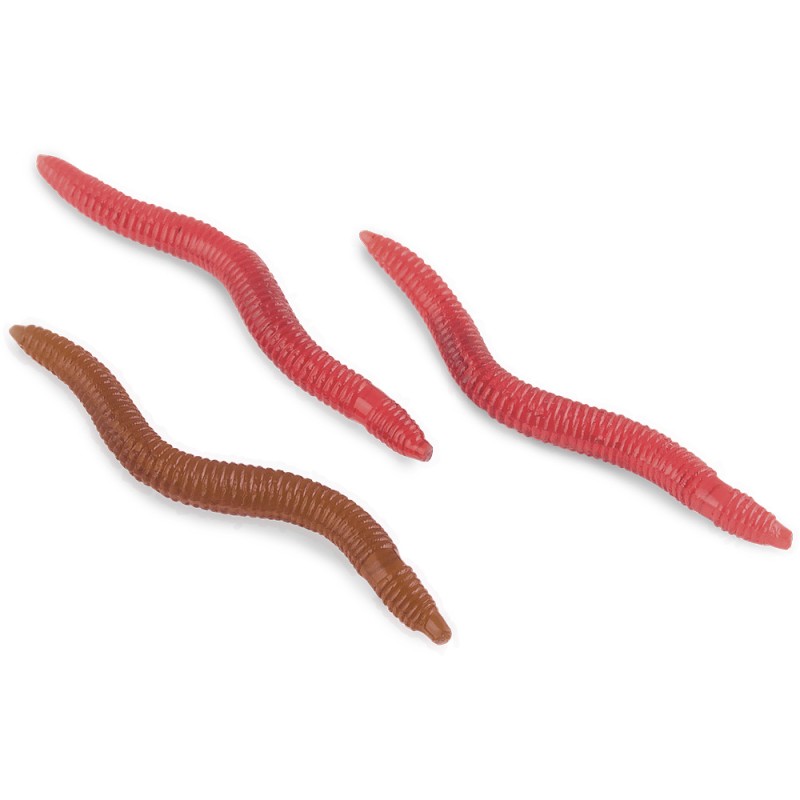 EARTHWORM